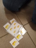 whatsapp image 2026-01-16 at 22.47.24 6